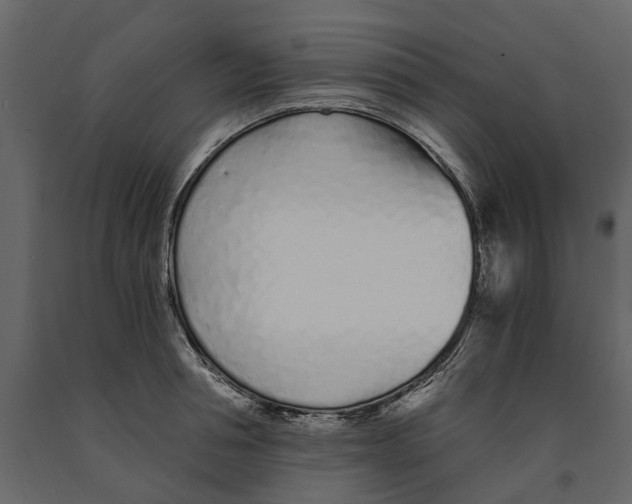 X0000090920994200708271021