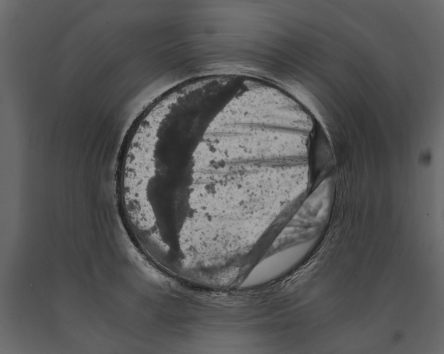 X0000090920995200708271021