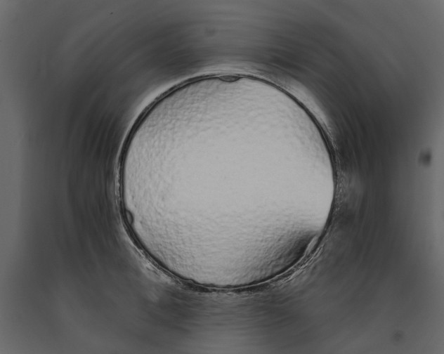 X0000090920996200708271021