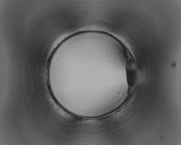 X0000090920998200708271021