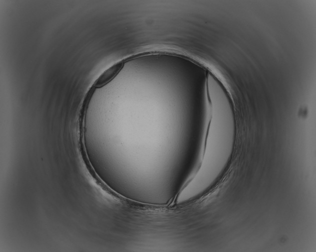 X0000090920999200708271021