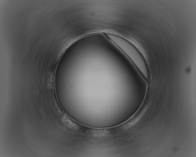 X0000090921001200708271021