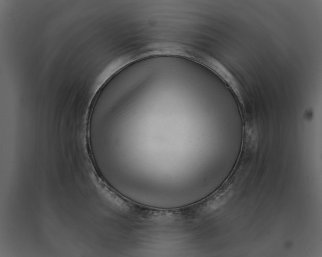 X0000090921002200708271021