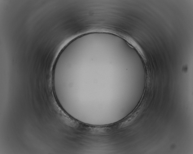 X0000090921004200708271021