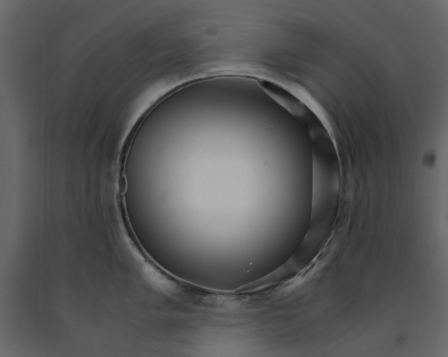 X0000090921005200708271021