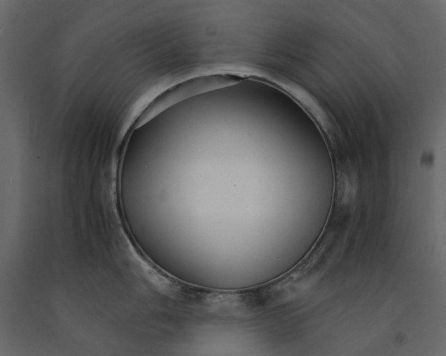 X0000090921006200708271021