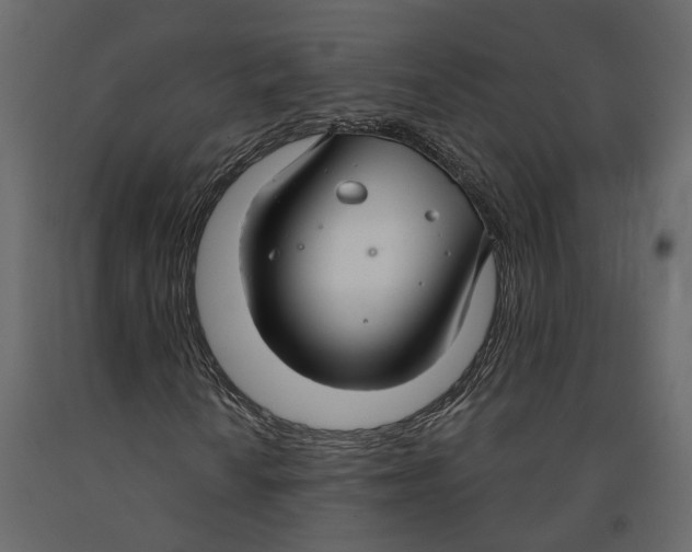 X0000090921010200708271020