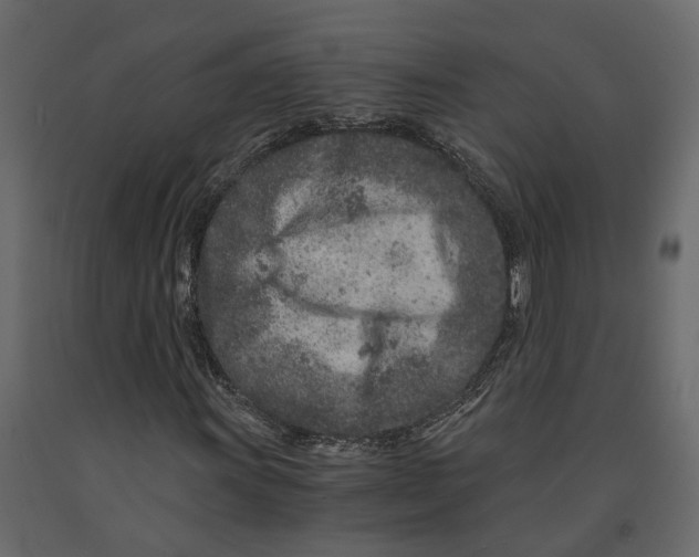 X0000090921011200708271020