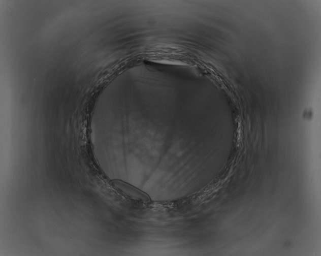 X0000090921013200708271020