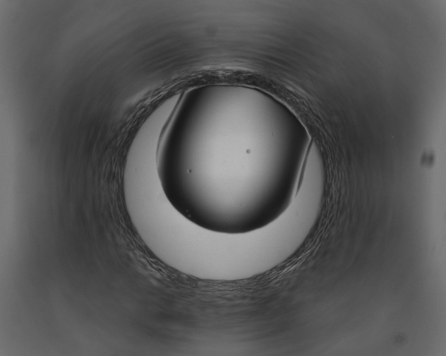 X0000090921014200708271020