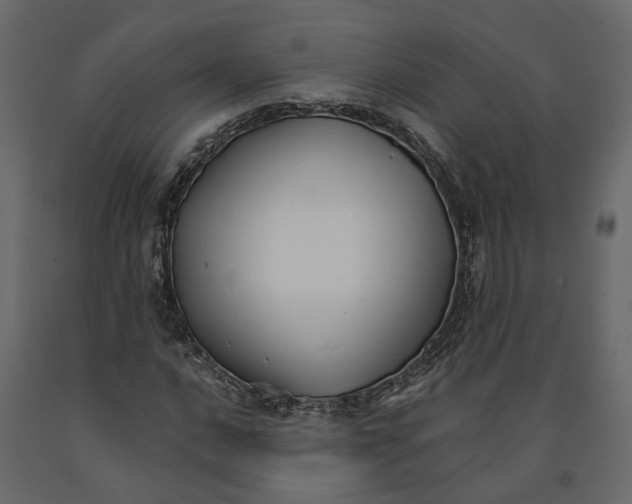 X0000090921016200708271020