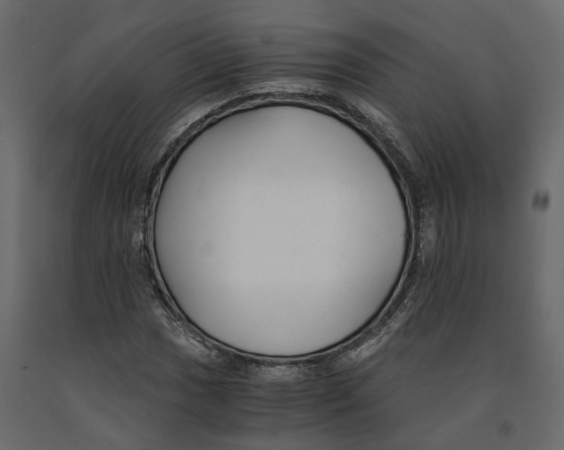 X0000090921017200708271020