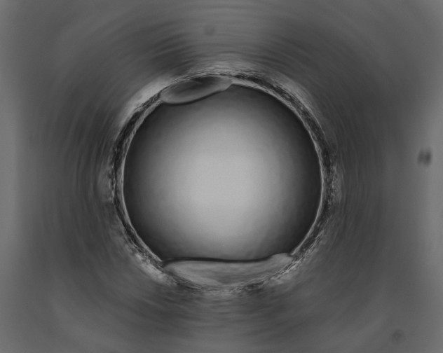 X0000090921018200708271020