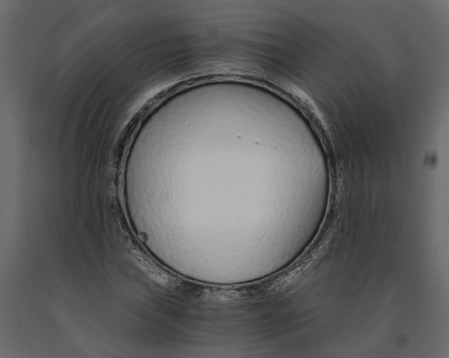 X0000090921019200708271020