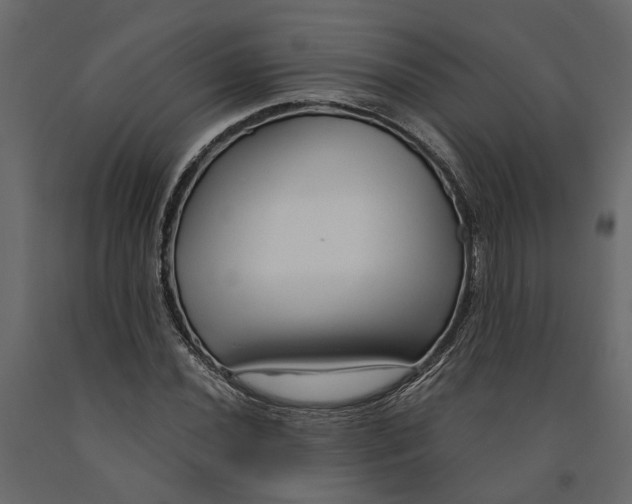 X0000090921020200708271020