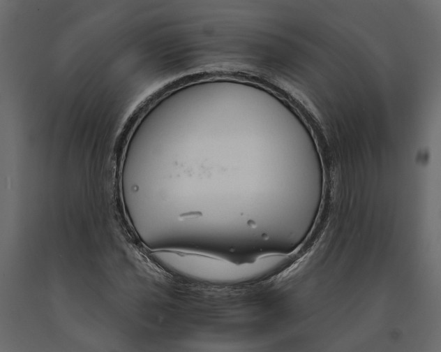 X0000090921021200708271020