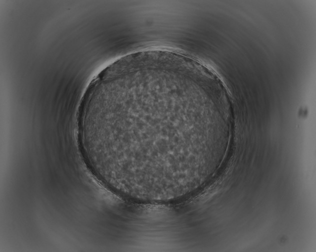 X0000090921024200708271020