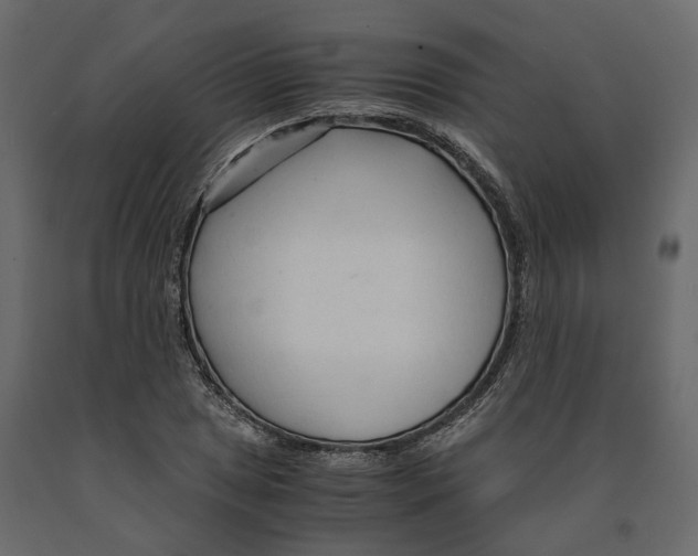 X0000090921025200708271020