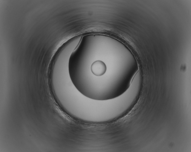 X0000090921026200708271020