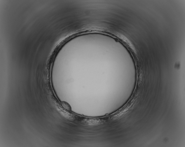 X0000090921027200708271020