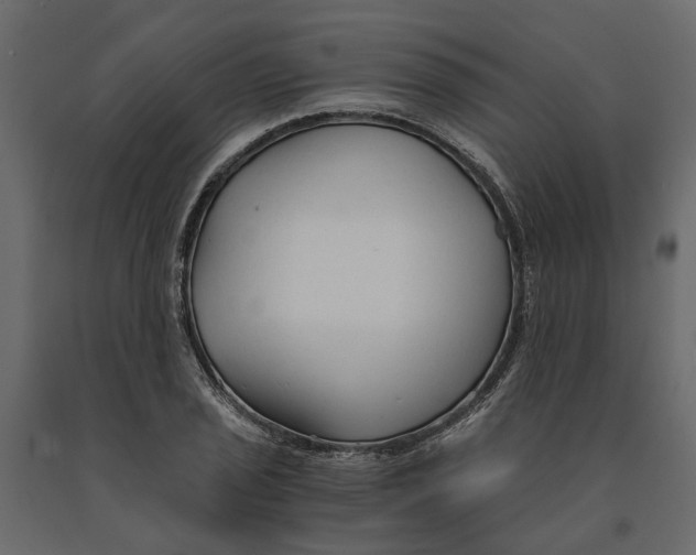 X0000090921029200708271020