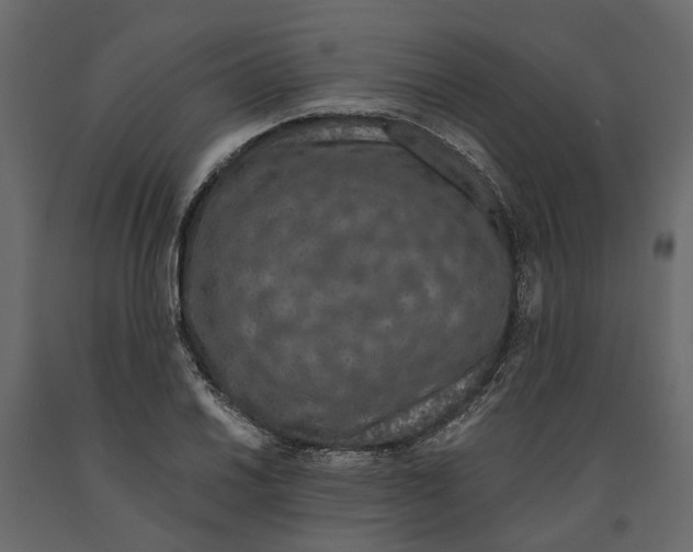 X0000090921030200708271020