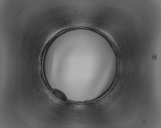 X0000090921031200708271020