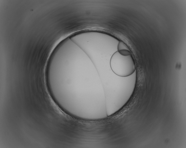 X0000090921032200708271020