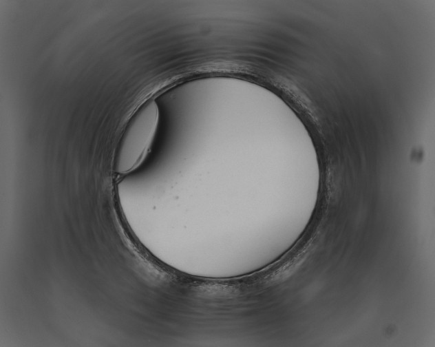 X0000090921033200708271020