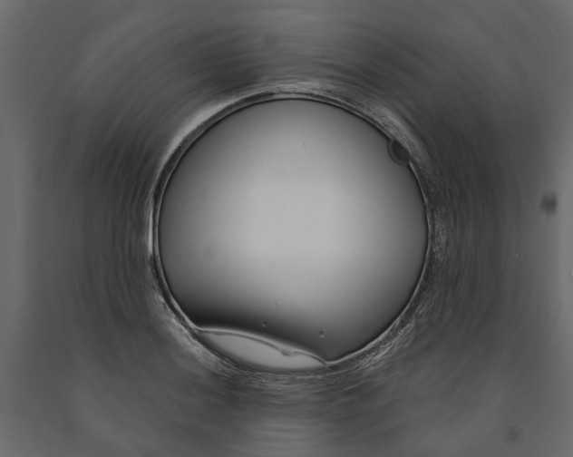 X0000090921036200708271020