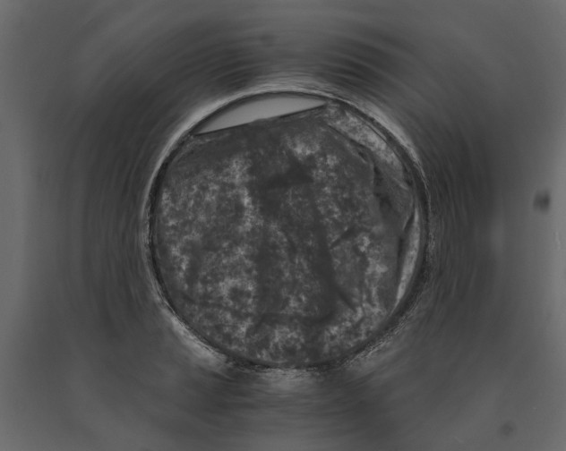 X0000090921037200708271020