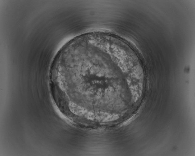 X0000090921038200708271020