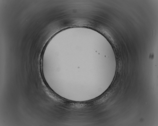 X0000090921039200708271020