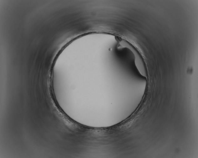 X0000090921040200708271020