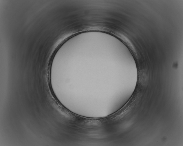 X0000090921043200708271020