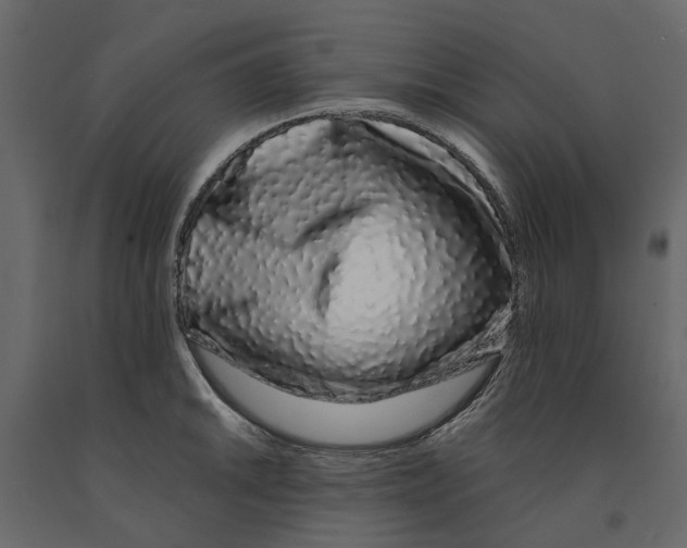 X0000090921046200708271021