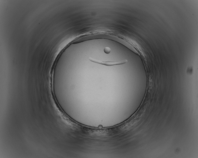 X0000090921047200708271021