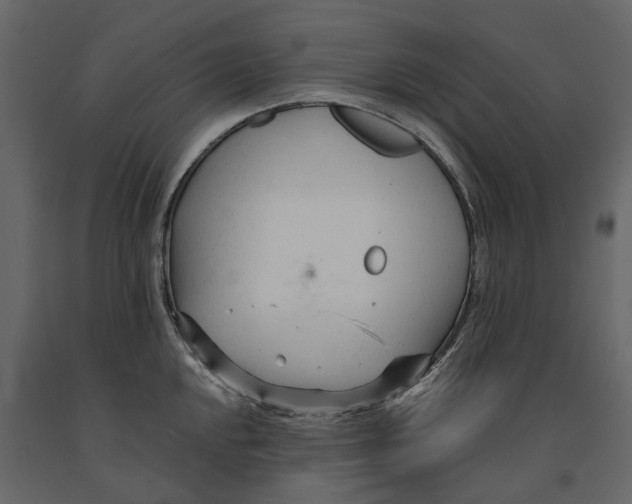 X0000090921048200708271021