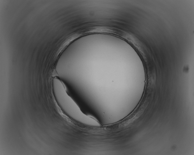 X0000090921049200708271021