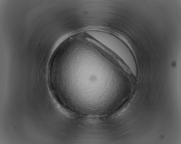 X0000090921050200708271021