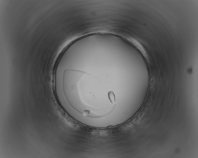 X0000090921051200708271021