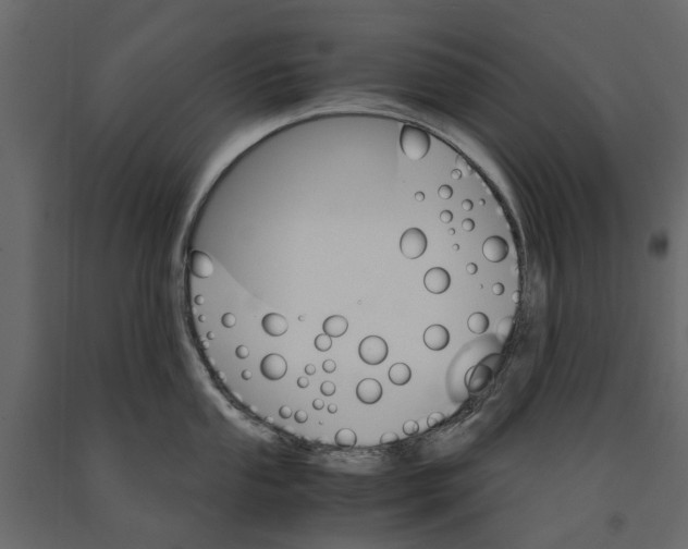 X0000090921053200708271021