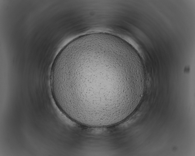 X0000090921055200708271021