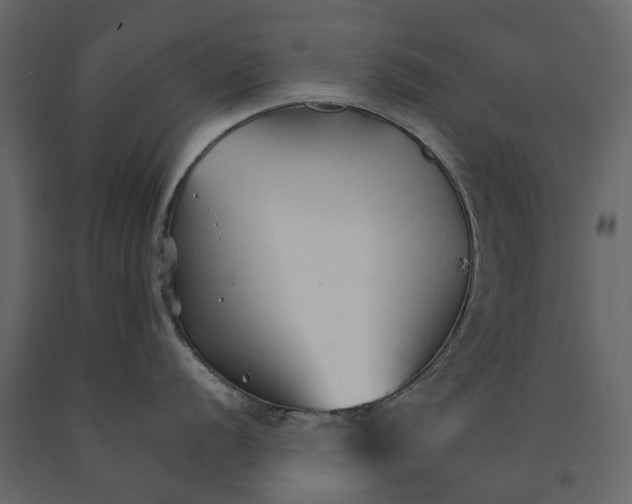 X0000090921056200708271021