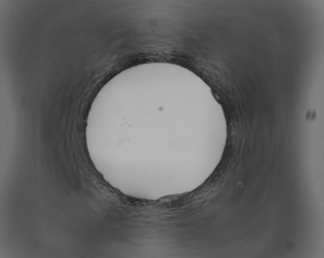 X0000090921057200708271020