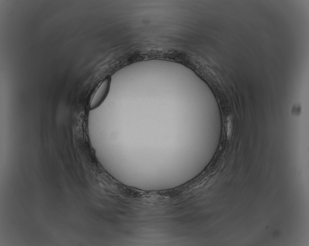 X0000090921059200708271020