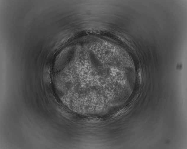 X0000090921060200708271020