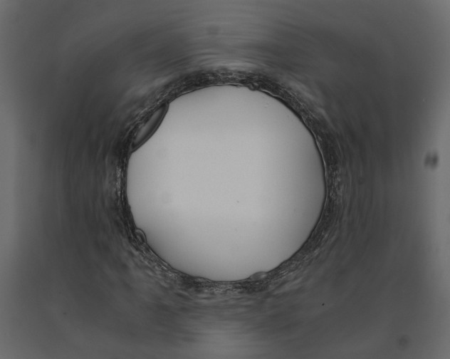 X0000090921061200708271020