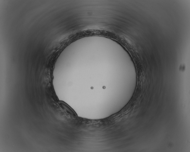 X0000090921062200708271020