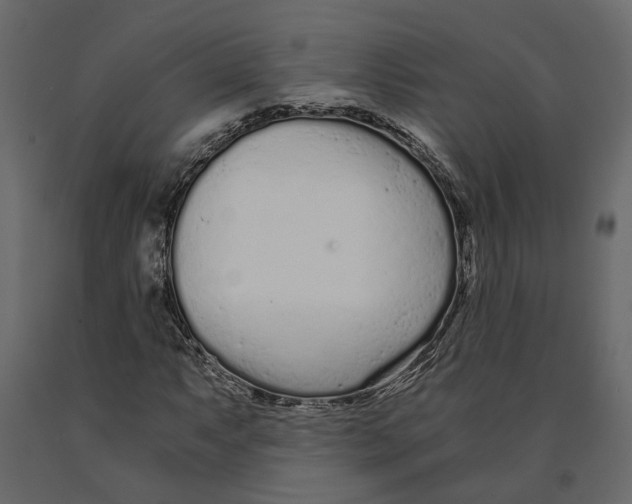 X0000090921063200708271020